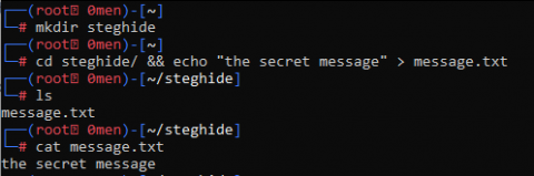 Steganography: How to hide data in images and extract them | Black Hat ...