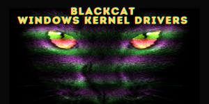 BlackCat Ransomware Evades Security Software with Signed Malicious Windows Kernel Drivers