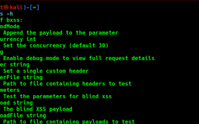 Offensive Security Tool: Bxss – Blind XSS Scanner