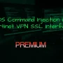 OS Command Injection via ‘lang’ Parameter in Fortinet VPN SSL Interface